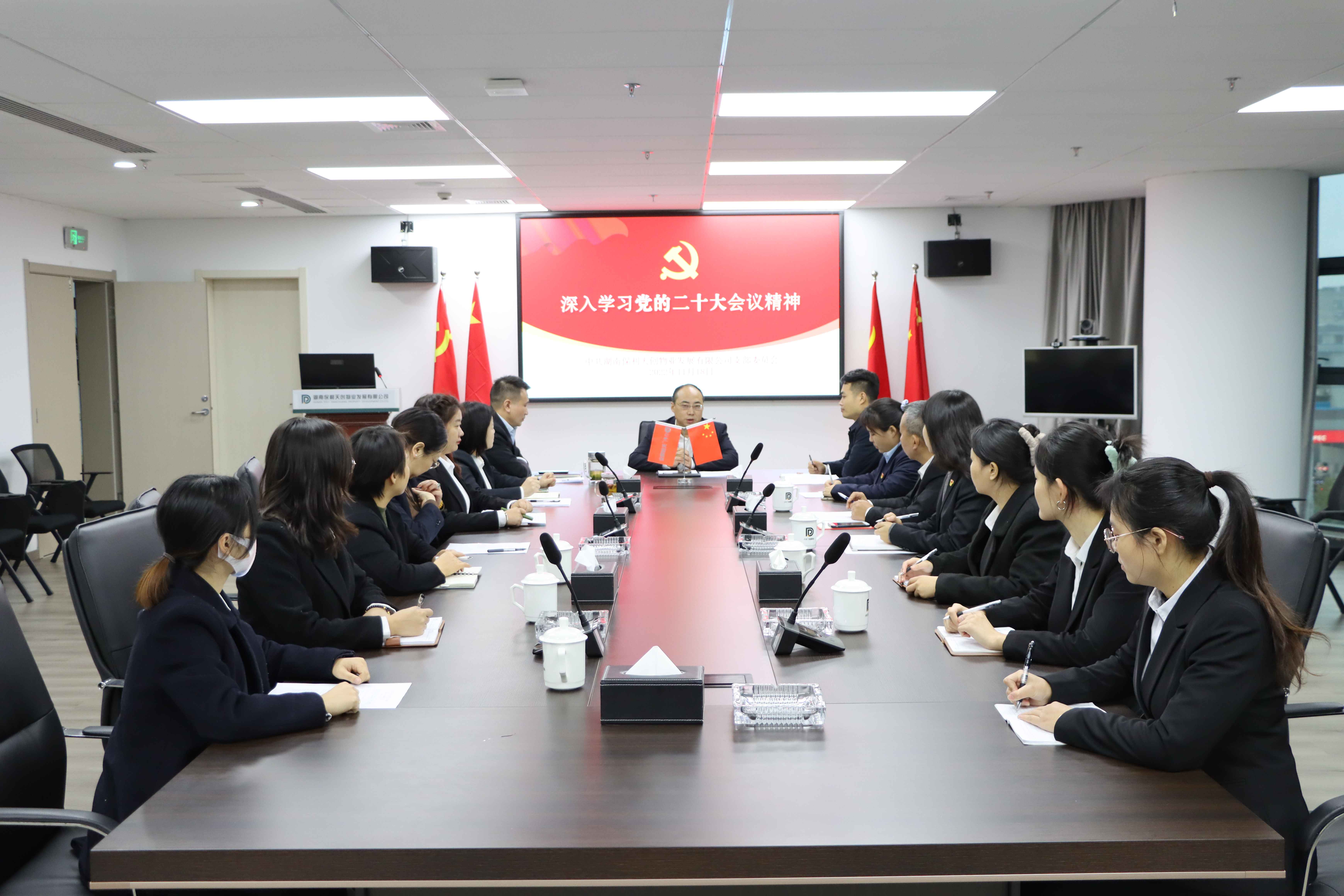 学习党的二十大精神会议