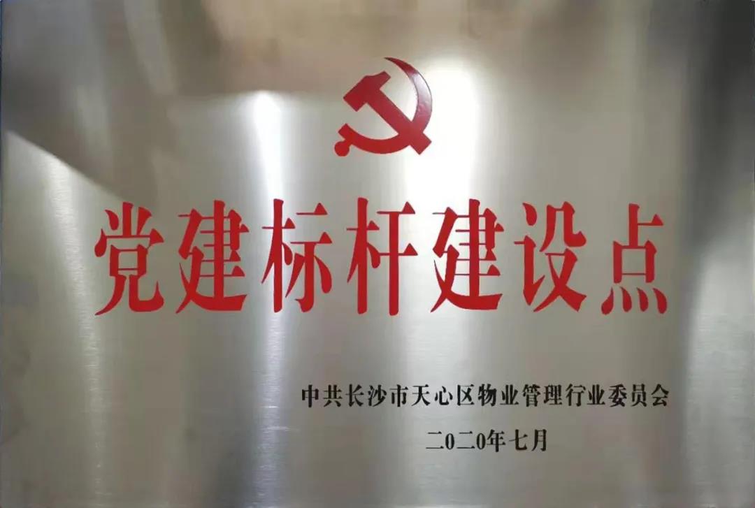 湖南保安服务,墙外高空清洗服务,湖南保利天创物业发展有限公司