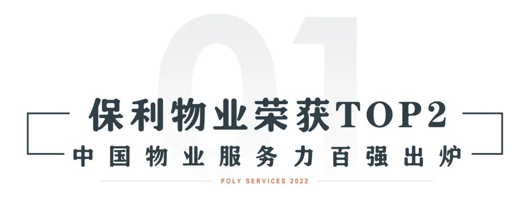 湖南保安服务,墙外高空清洗服务,湖南保利天创物业发展有限公司