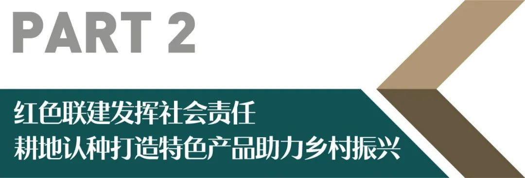 湖南保安服务,墙外高空清洗服务,湖南保利天创物业发展有限公司